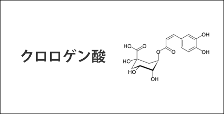 クロロゲン酸